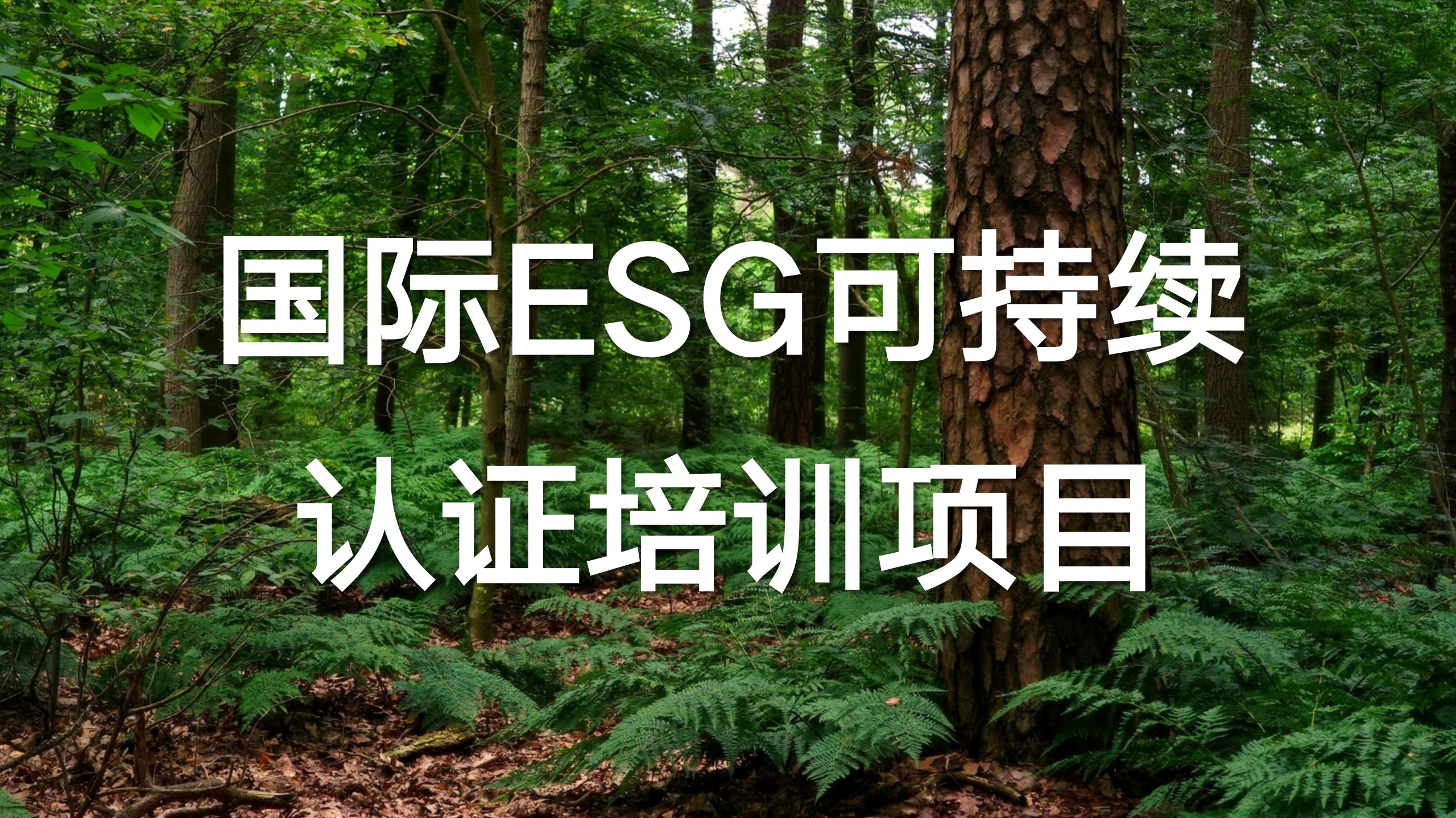 国际ESG可持续认证培训项目