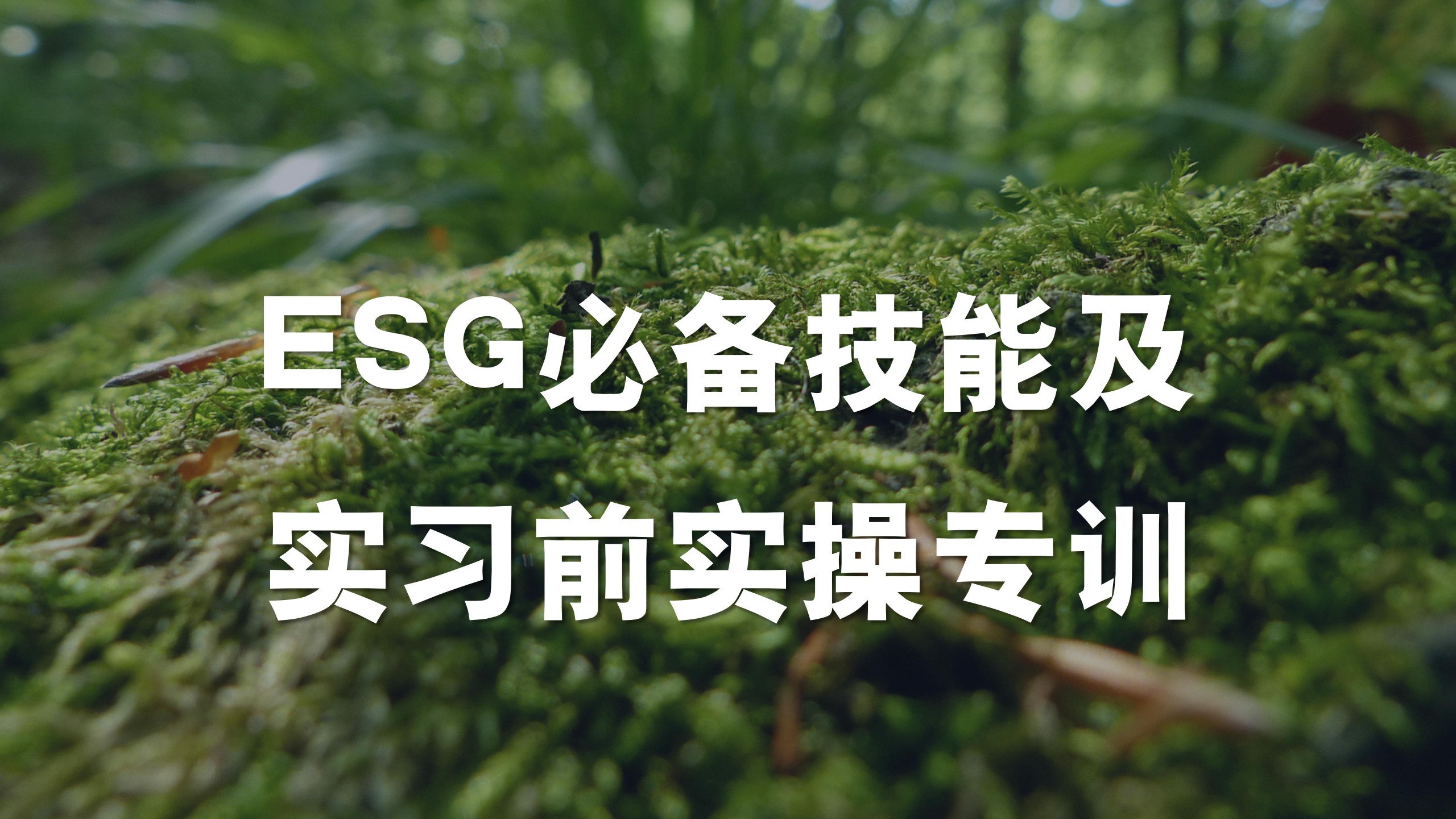 ESG必备技能及实习前实操专训